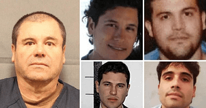 También te recomendamos...