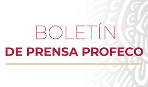 También te recomendamos...