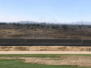 También te recomendamos...